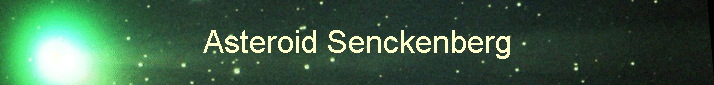 Asteroid Senckenberg